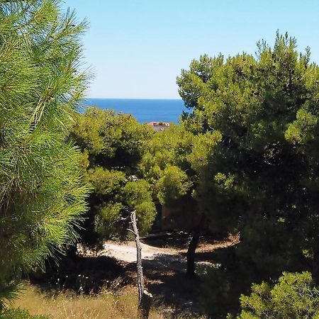Fistiki Rooms Ajía Marína Kültér fotó