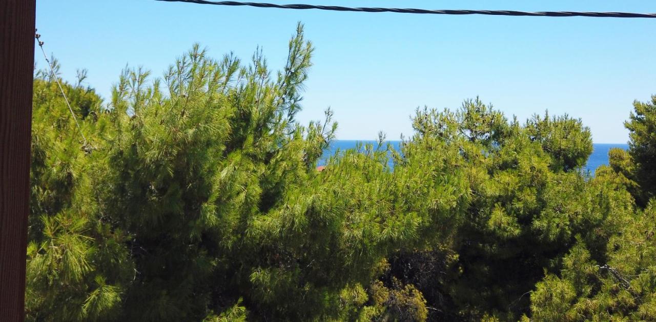 Fistiki Rooms Ajía Marína Kültér fotó