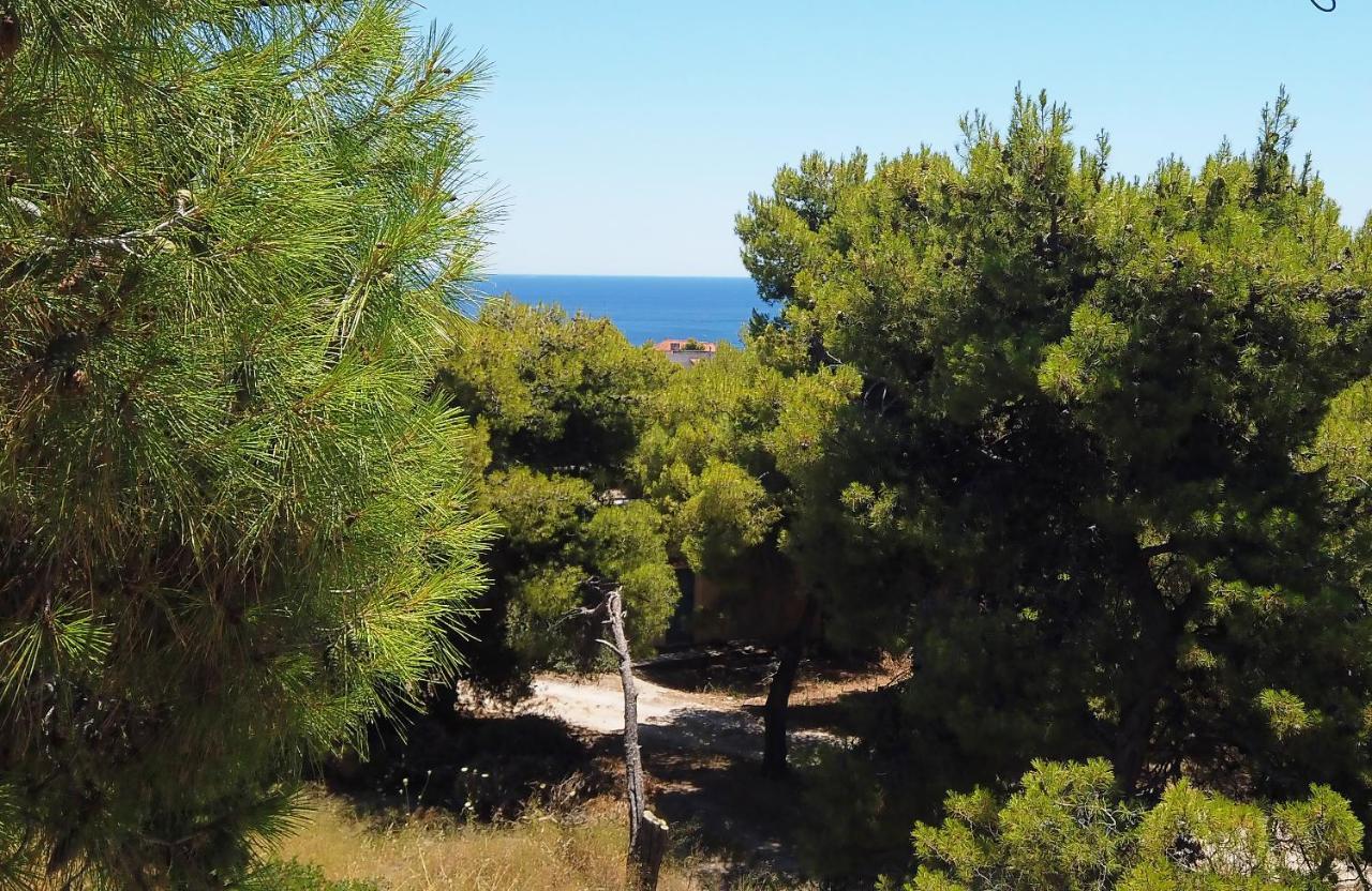 Fistiki Rooms Ajía Marína Kültér fotó